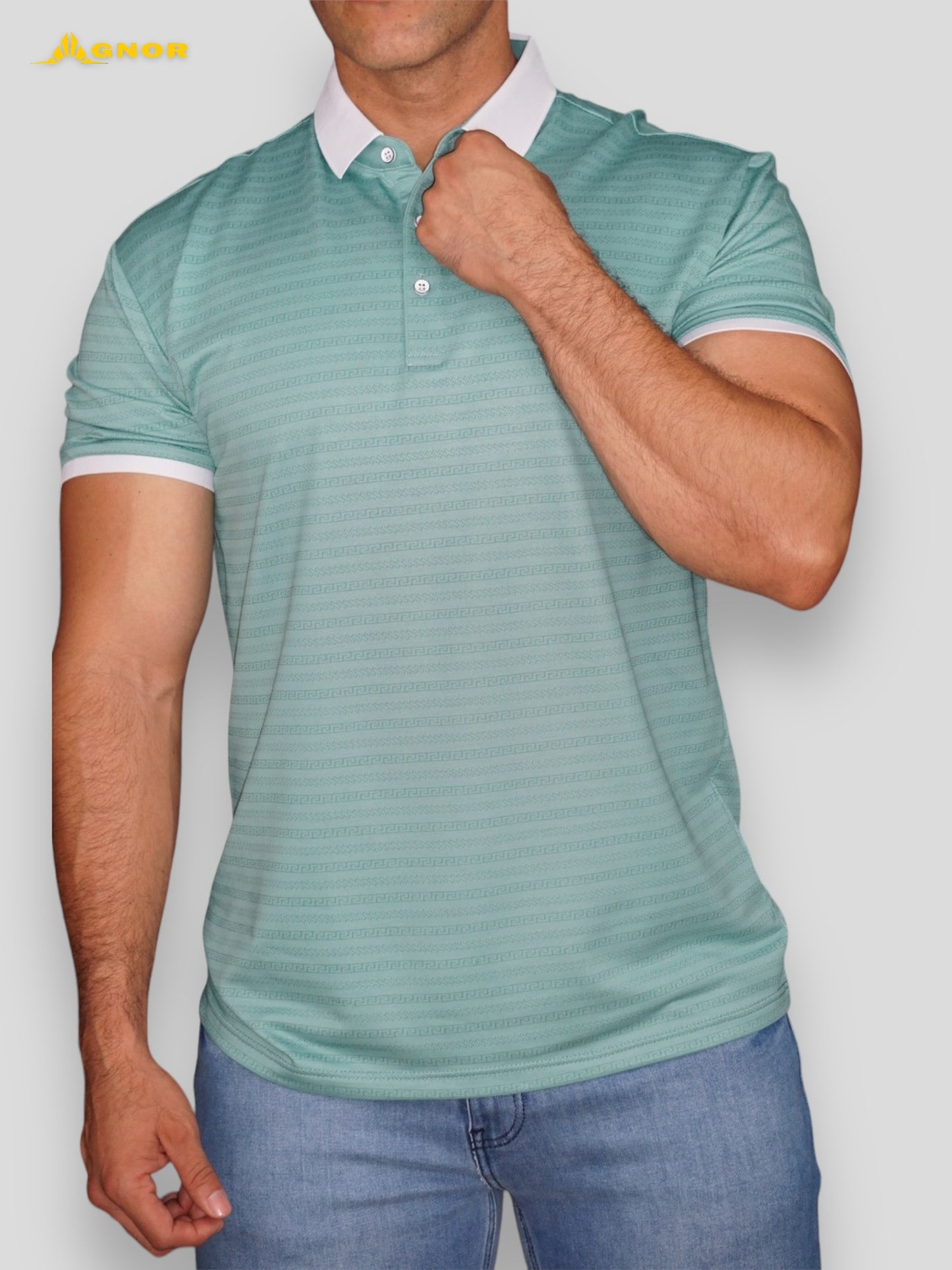 Playera cuello polo Agnor para caballero Greenish High Premium Mod. HAgH4