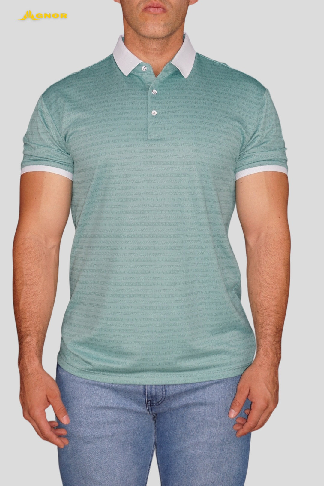 Playera cuello polo Agnor para caballero Greenish High Premium Mod. HAgH4