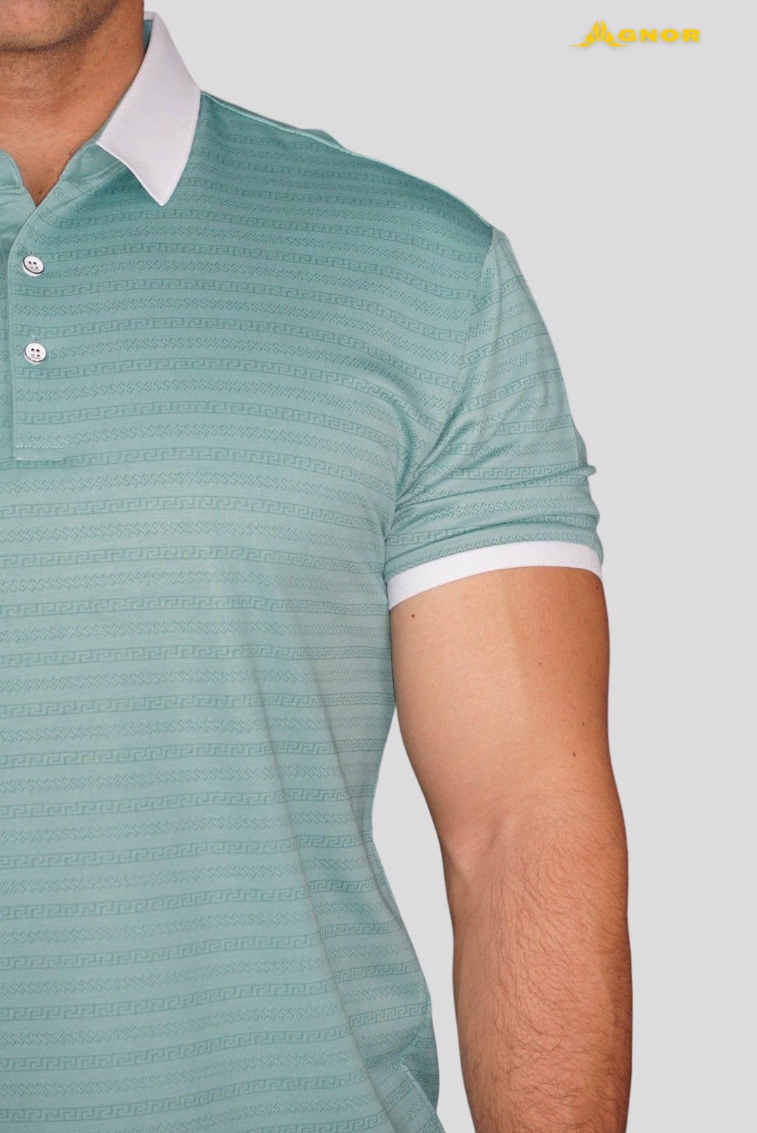 Playera cuello polo Agnor para caballero Greenish High Premium Mod. HAgH4