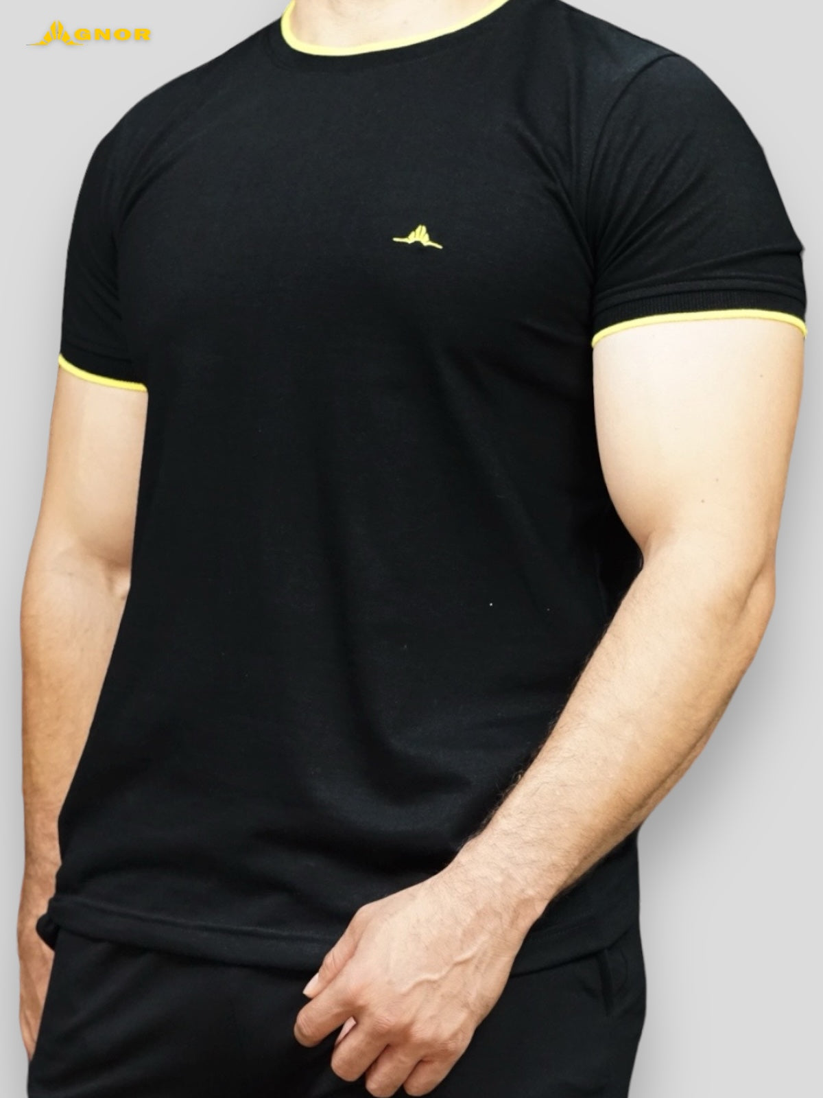 Playera cuello redondo Agnor para caballero Negro Mod. HAgR3